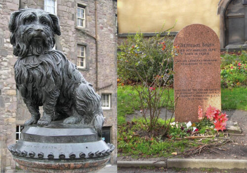 greyfriars bobby, il fantasma del cane più fedele di Scozia